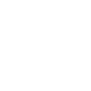 WellToDo Logo